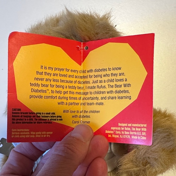 Rufus - The Bear with Diabetes - Picture 7 of 9